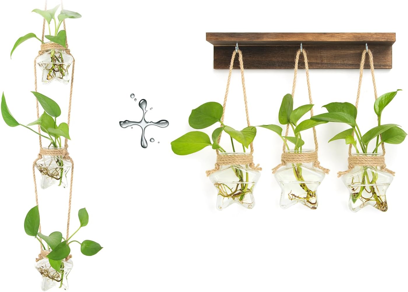 XXXFLOWER 3 Tiers Star Shaped Wall Hanging Propagation Station+3 Star Wall Hanging Propagation Station