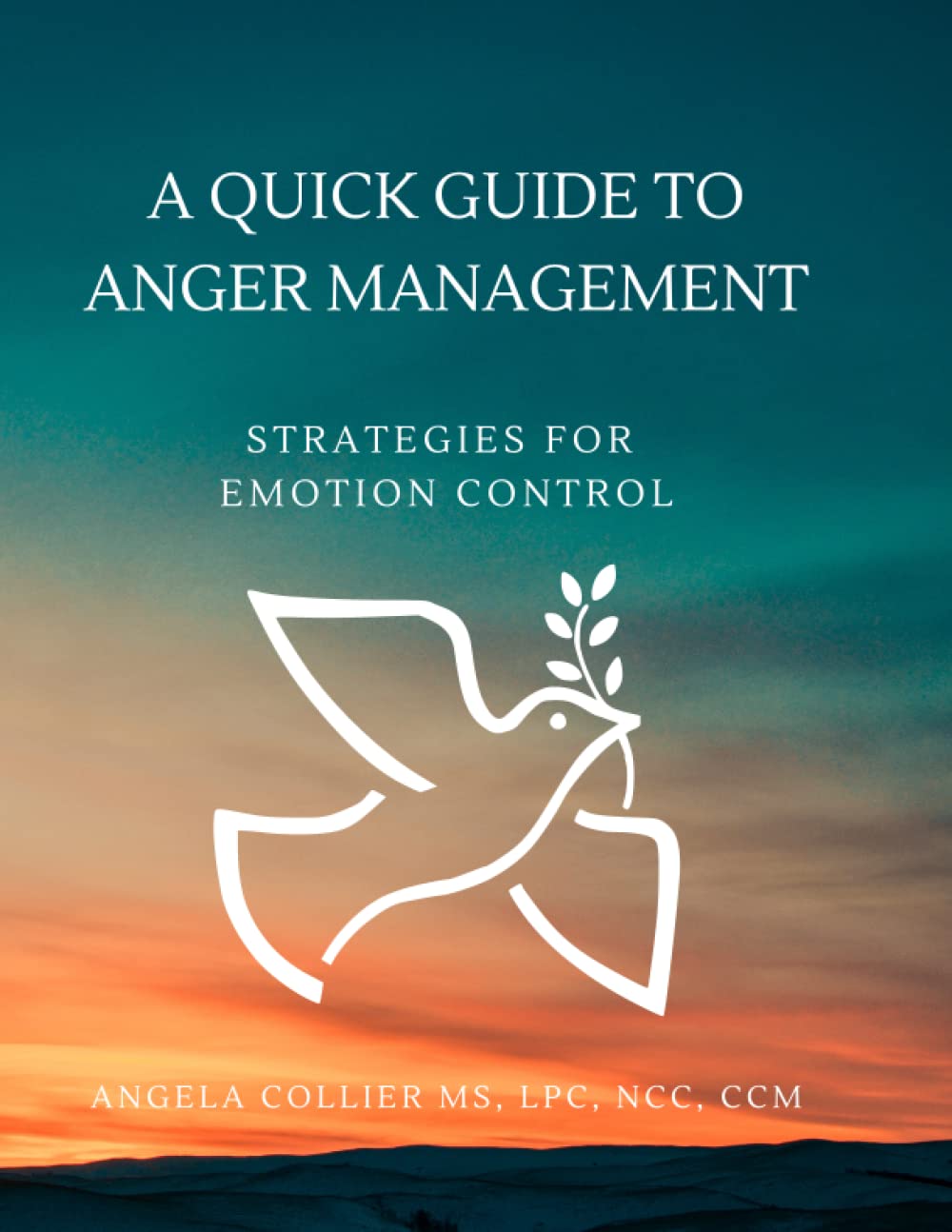 Buy A Quick Guide to Anger Management: Strategies for Emotion Control ...