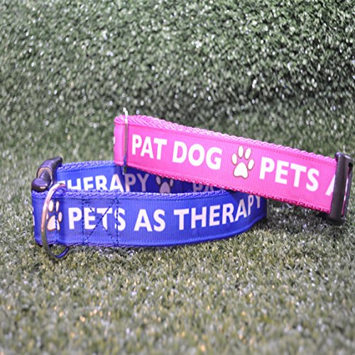 therapy dog lead