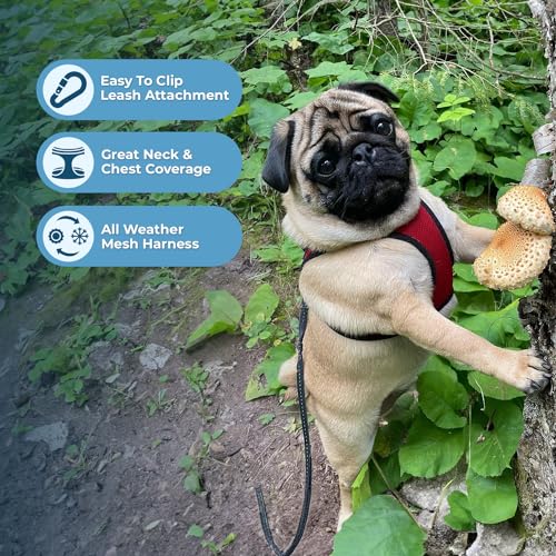 Image of Voyager Step-in Air All Weather Mesh Harness & Reflective Dog 5 ft Leash Combo, Neoprene Handle, for Small, Medium, Large Breed Puppies by Best Pet Supplies - Leash Harness (Red /Black Trim), M