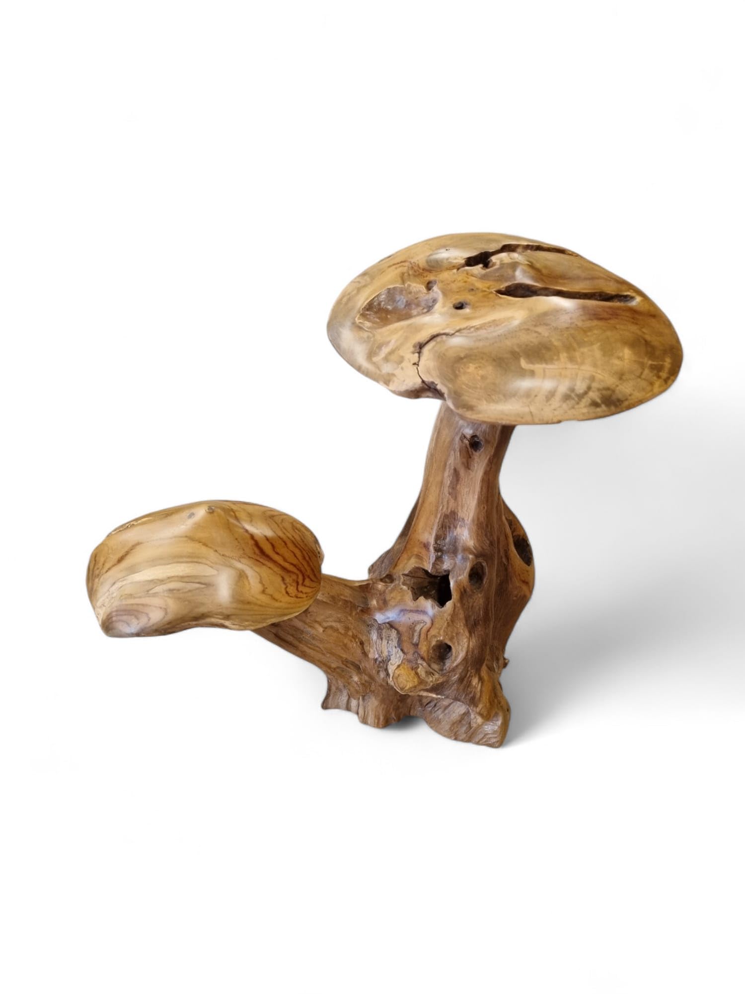 Kinaree 2er Wurzelholz Skulptur Pilz aus Teakholz ca. 45-55 cm – Handgefertigte Holz Skulptur als Garten- & Wohndeko – Massivholz Unikat aus Indonesien