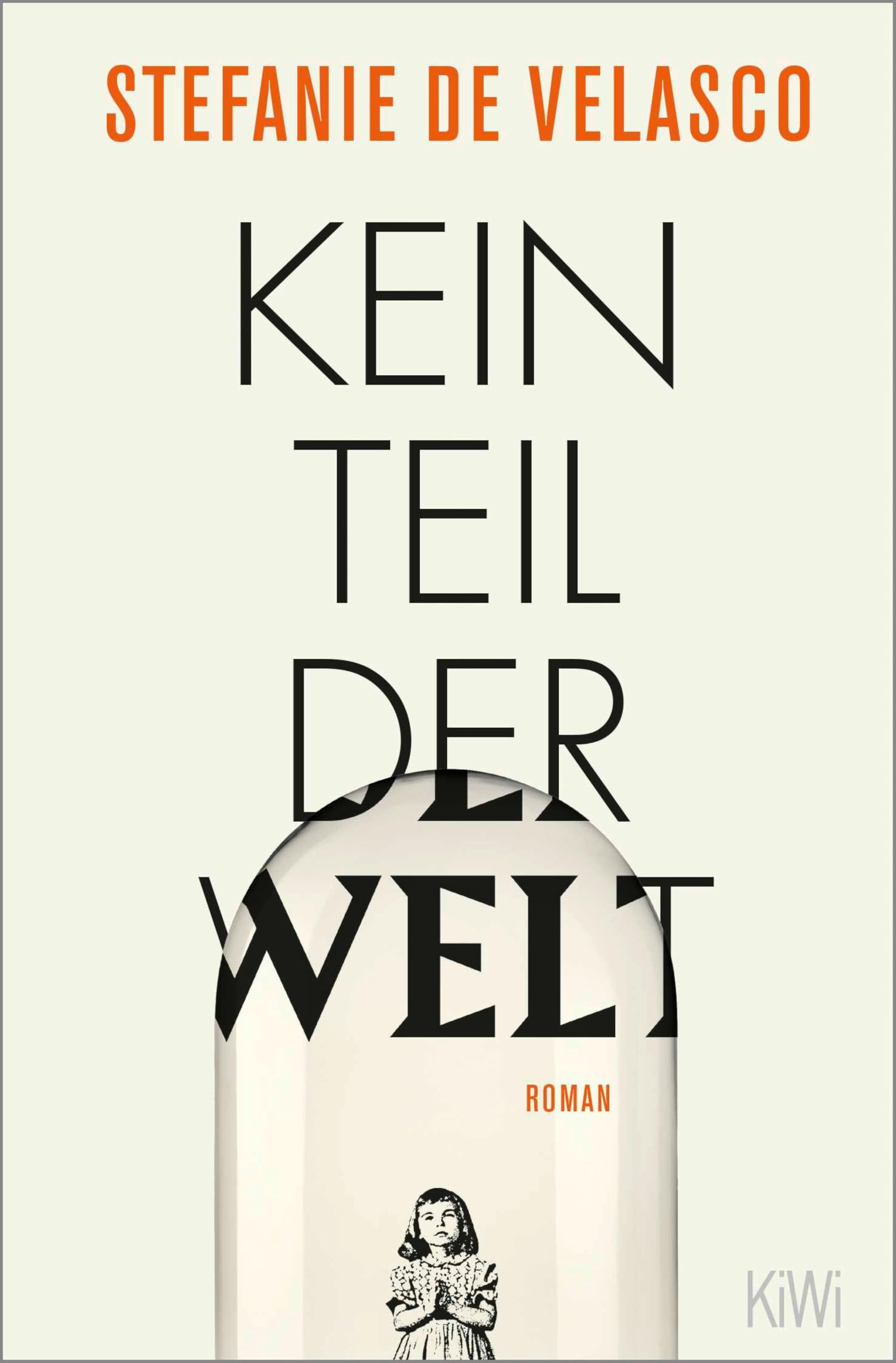 Kein Teil der Welt: Roman