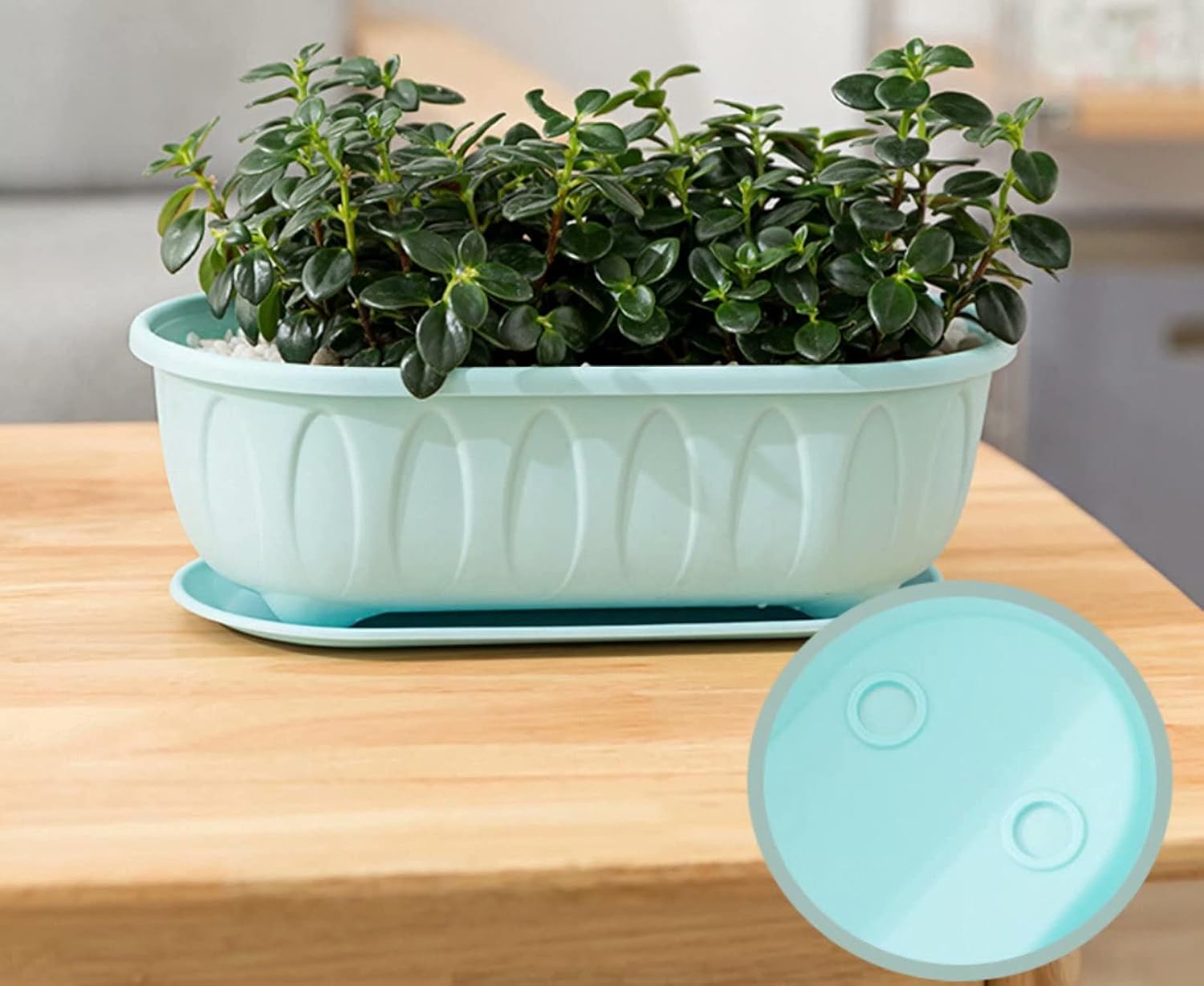 2 Packs 18 Inches Flower Window Box Plastic Vegetable Planters Vegetables Growing Container Garden Flower Plant Pot for Balcony, Window Sill, Patio, Garden, Blue