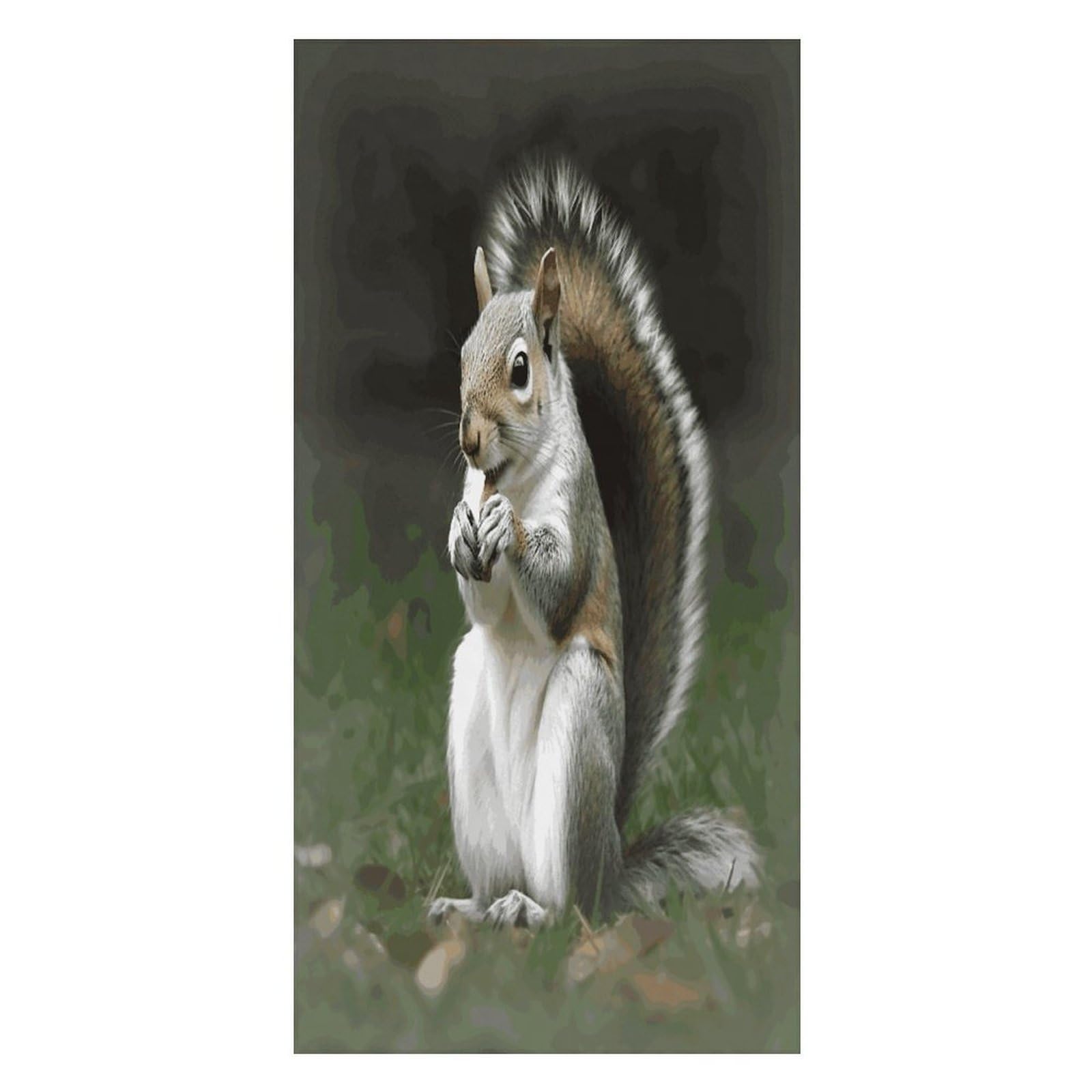 FekiLoot Squirrel Beach Towel Oversized Bath Towel Ultra Soft Pool Towel Cozy Swim Towel Silky Lounge Towel Quick Dry Travel Towel Gentle Absorbent Towel for Adults Women Men