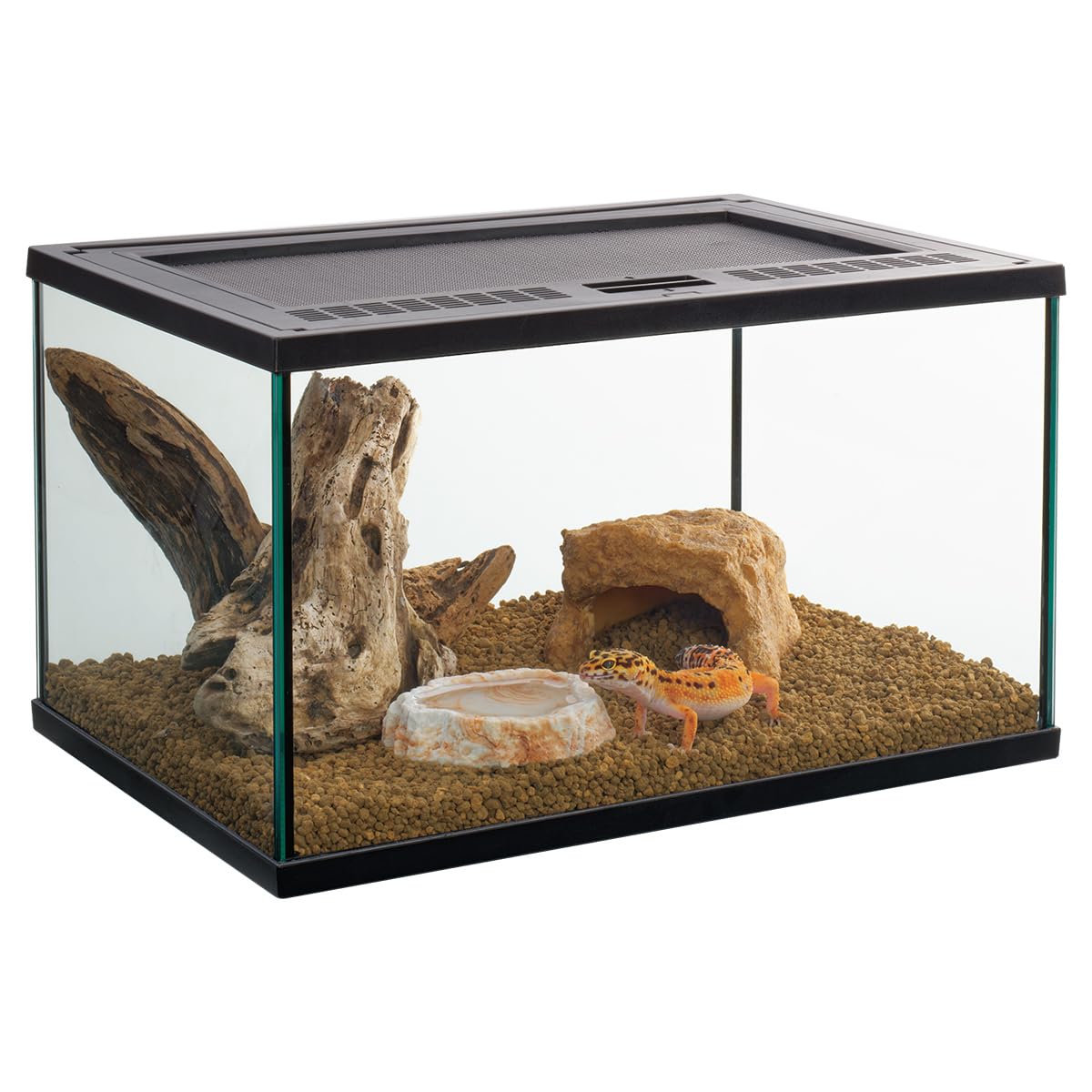 Amazon | スドー レオパ はじめて お迎え 飼育 セット キット 5点