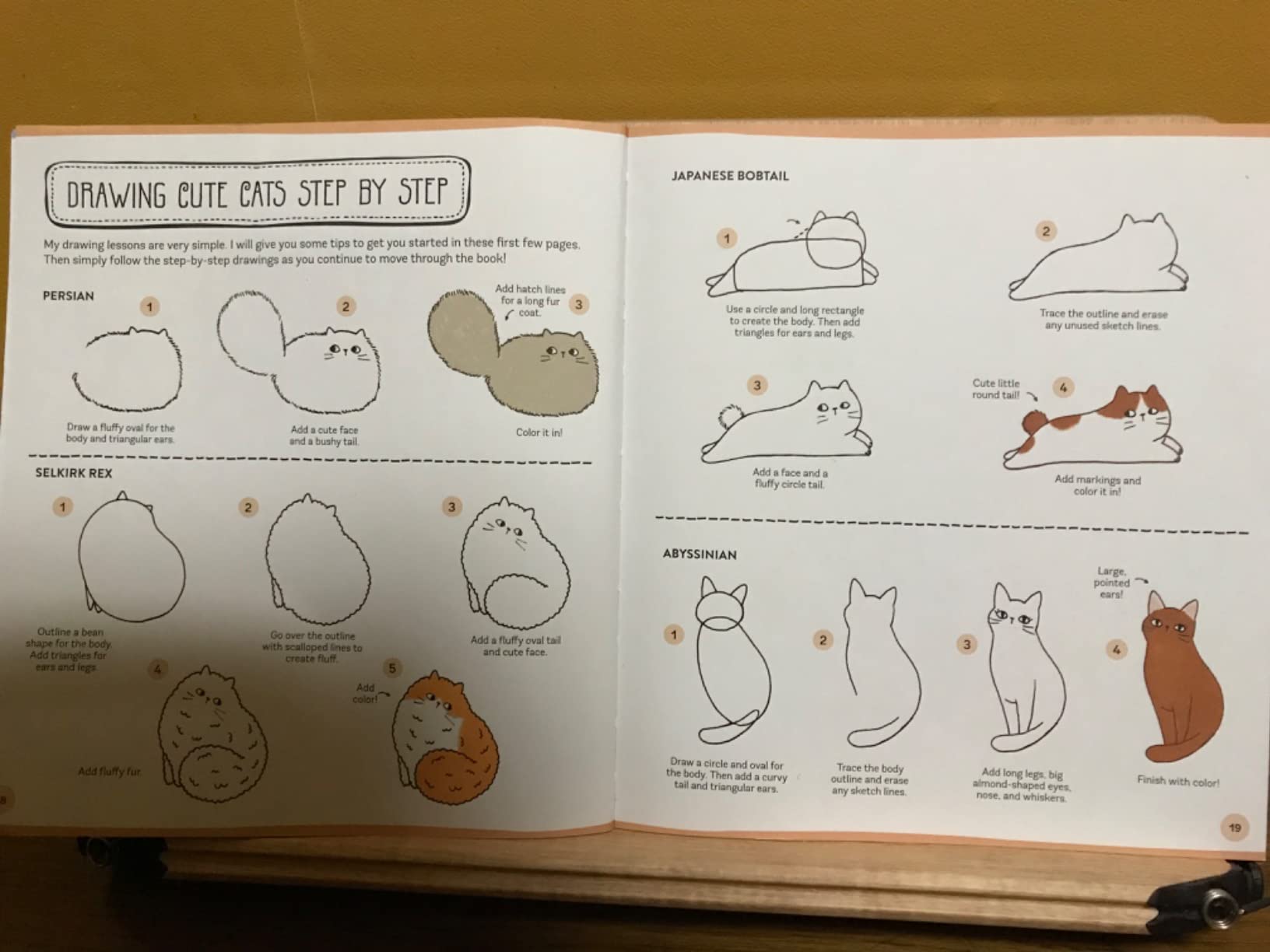 Amazon | 101 Super Cute Cat Things to Draw: Draw, doodle, and color a ...