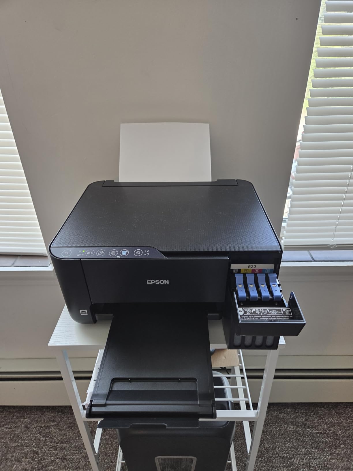 Epson EcoTank printer front view with ink tanks visible