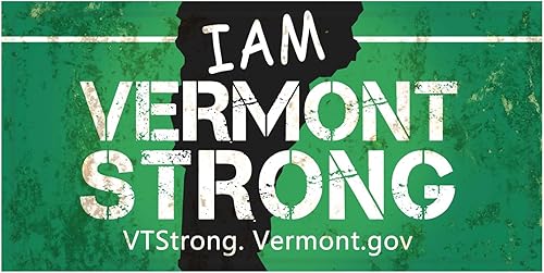 Miniatura 33 de Placa de matrícula de Wyoming de aluminio, placa decorativa de automóvil novedosa, placas de matrícula de 12"x6" para el frente del automóvil, placa