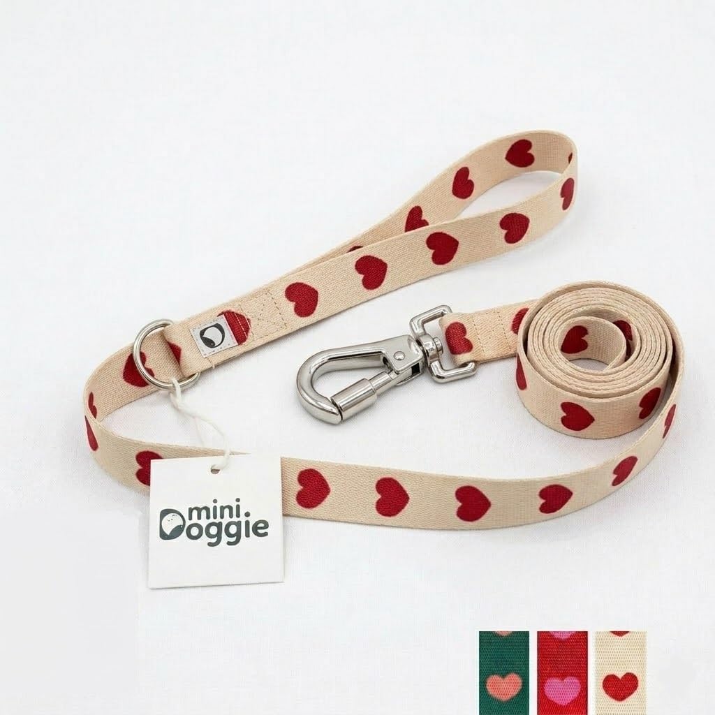 Heart Leash – 3 Colors, Double Lock Safety Clip, Durable 2.5cm Wide Dog Walking Lead (Red)