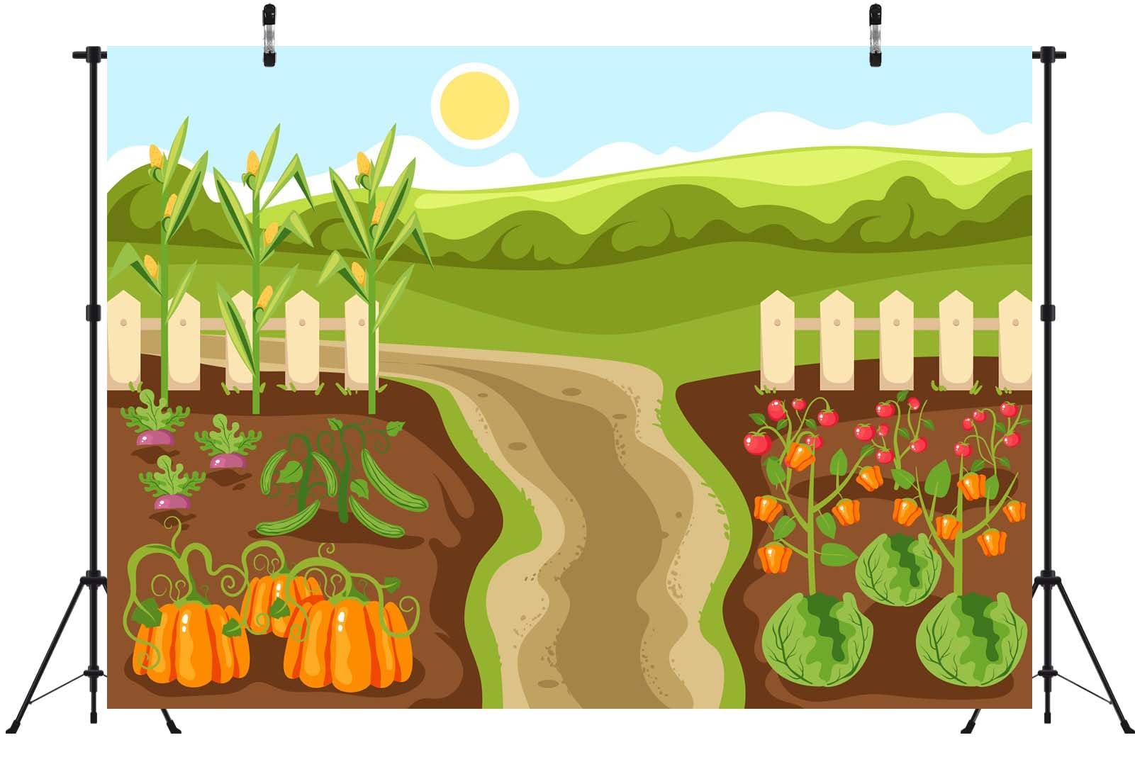 BELECO 3.6x3m Telo sfondo orto vegetale | Zucche mais pomodori terreno agricolo verde sfondo tema fattoria ritratti bimbi adulti studio foto