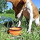 PhoneNatic Faltbarer Silikon-Hundenapf in orange, Reisenapf für Hunde und Katzen mit Karabiner -, XL, orange, 1000 ml