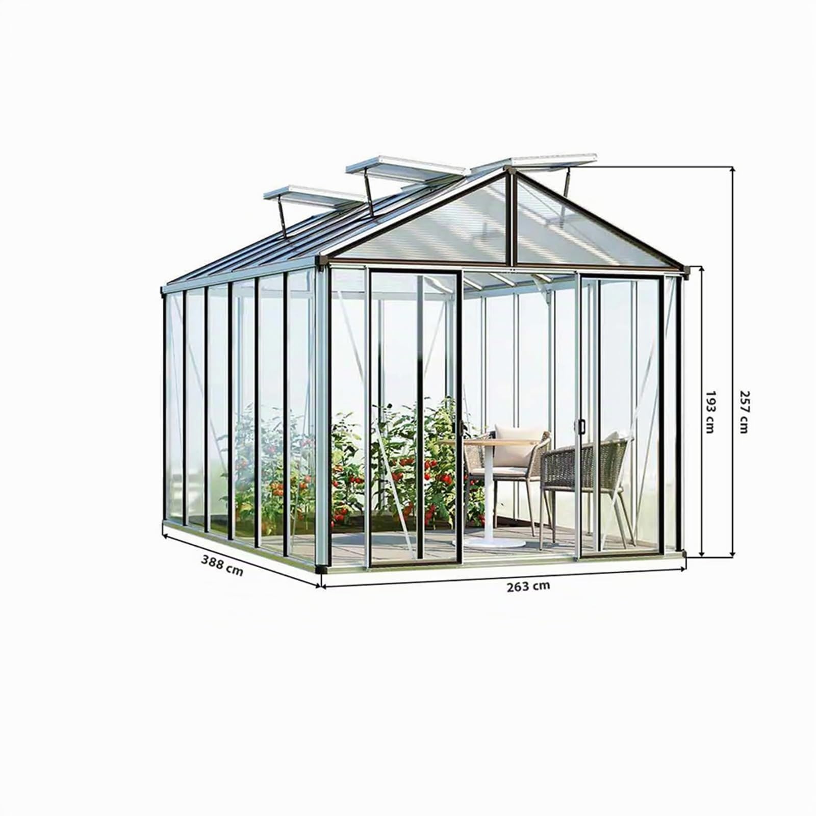 GFP Gewächshaus Hera 6 Glasgewächshaus 263x388 cm | Aluminium-Rahmen Farbe Anthrazit
