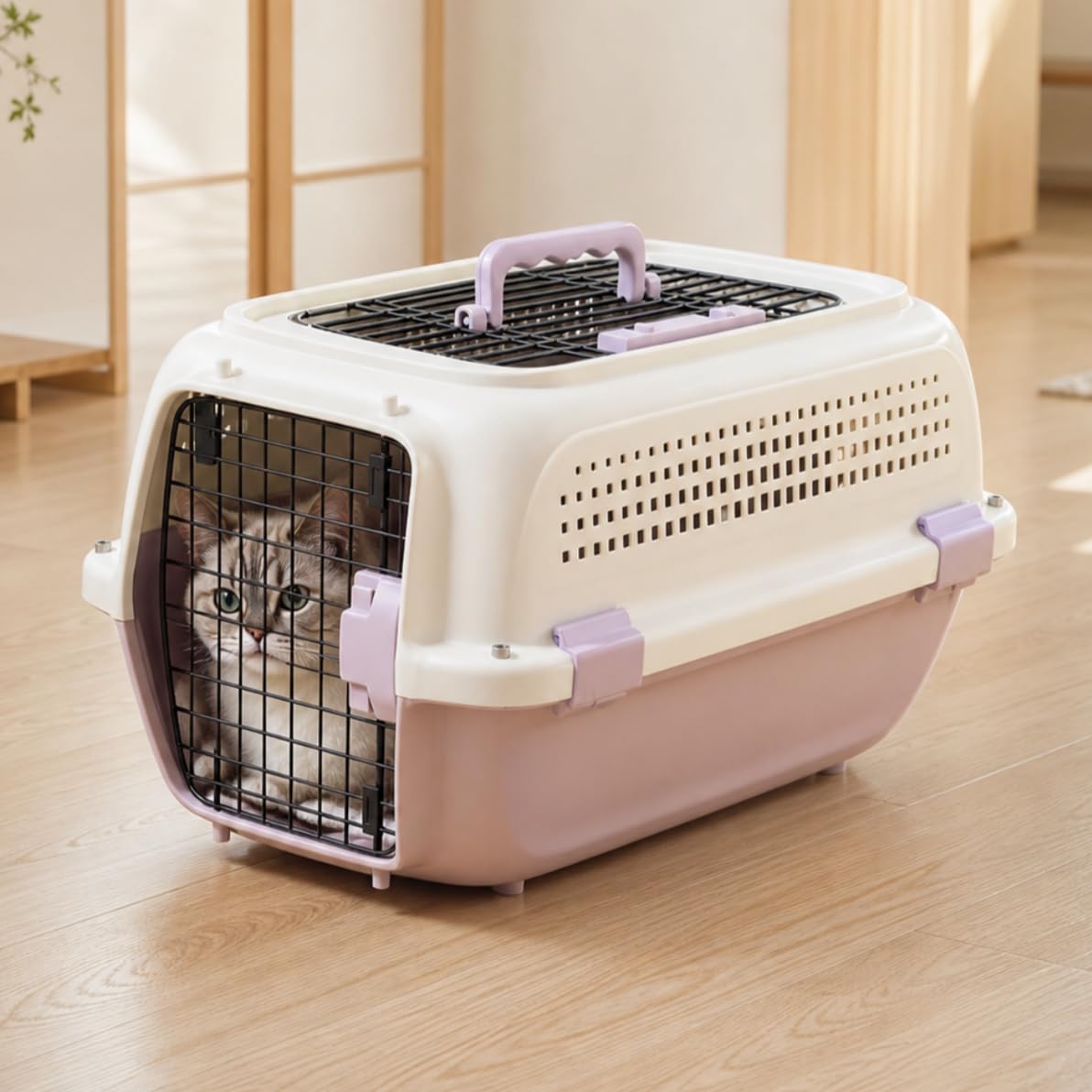 Amazon | N&S ペットキャリー M パープル 犬猫用 ハードキャリー 通院