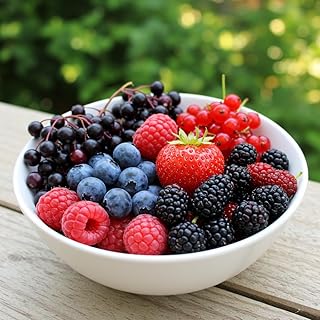 Fruit Garden Seeds Kit for Growing - Elderberry, Blueberry, Red Strawber...