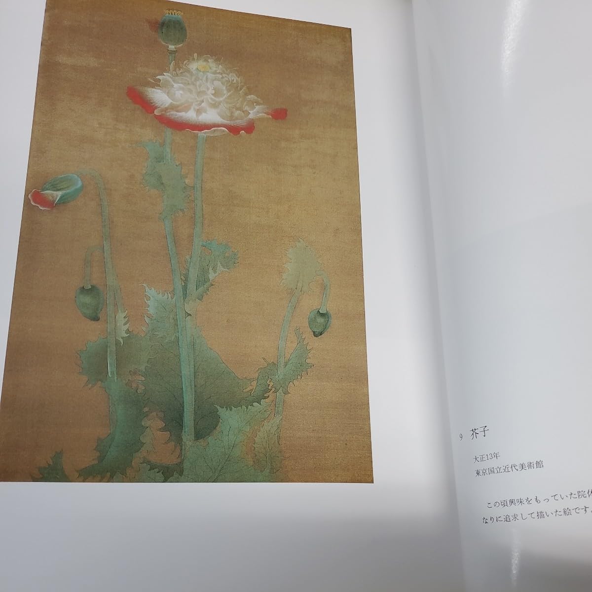 Amazon.co.jp: 定本 徳岡神泉画集 限定500部 定価15万円 : おもちゃ