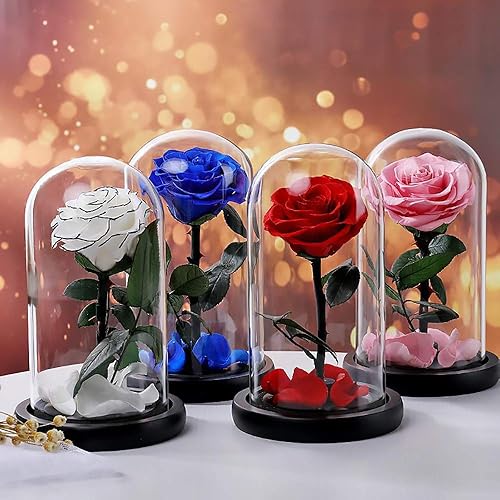 Miniatura 5 de Rosa rosa real, flor de rosa fresca conservada eterna en cúpula de cristal, el mejor regalo para el día de San Valentín, cumpleaños, día de la