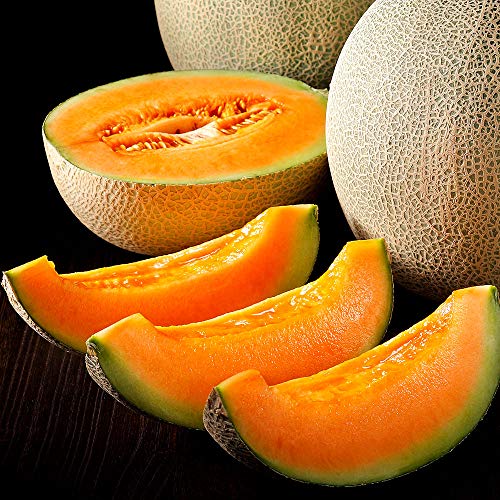 メロンのおすすめ人気ランキング15選 美味しい品種や高級メロンも紹介 セレクト Gooランキング