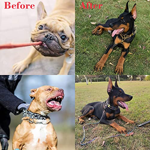 Pinch Collar For Dogs With Buckle Chrome Stainless Steel Prong Dog Chain With Dog Tag For Medium Large Dog Training (Gold 2) #TOP3