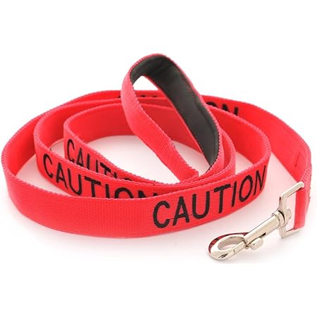 caution dog lead