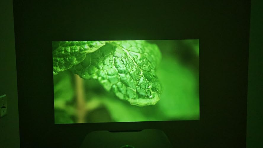Review Image by Sandy S