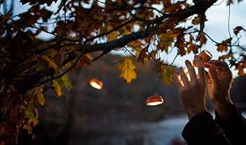 新品 廃盤品 BioLite バイオライト サイトライト Mini 2個セット Amazon | BioLite(バイオライト) アウトドア LED サイトライト