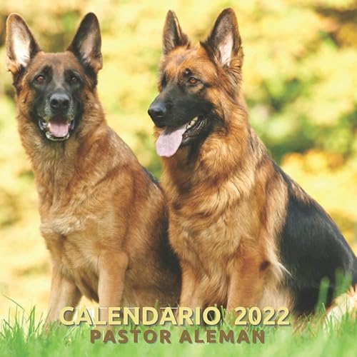 Calendario 2022 Pastor Alemán Mensual de Enero a Diciembre - Calendario de 12 Meses - 12 magnificas Fotos en color - para los que aman los Pastores