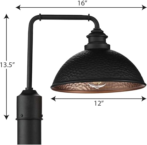Miniatura 13 de Progress Lighting Englewood Collection - Farol de poste para exteriores con 1 luz, color negro texturizado, 13-716 x 16 x 12 pulgadas