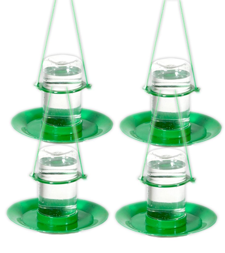 Amijivdaya Small Water Feeder (4 Pieces) (B07FXNT17P) Amazon Price History, Amazon Price Tracker