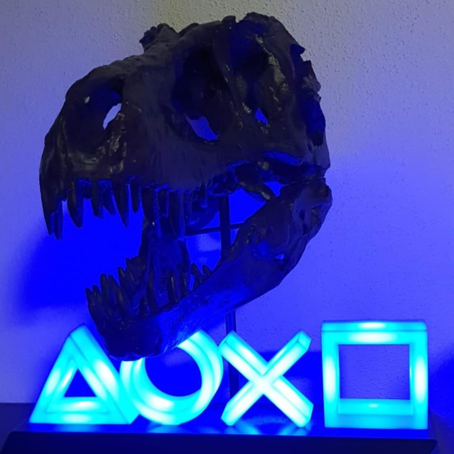 Statue de crâne de Sculptures de Dinosaures avec Support Réplique de crâne de tyrannosaure Décoration Réplique de crâne et d'os en résine avec Support pour la Maison, Le Bureau.