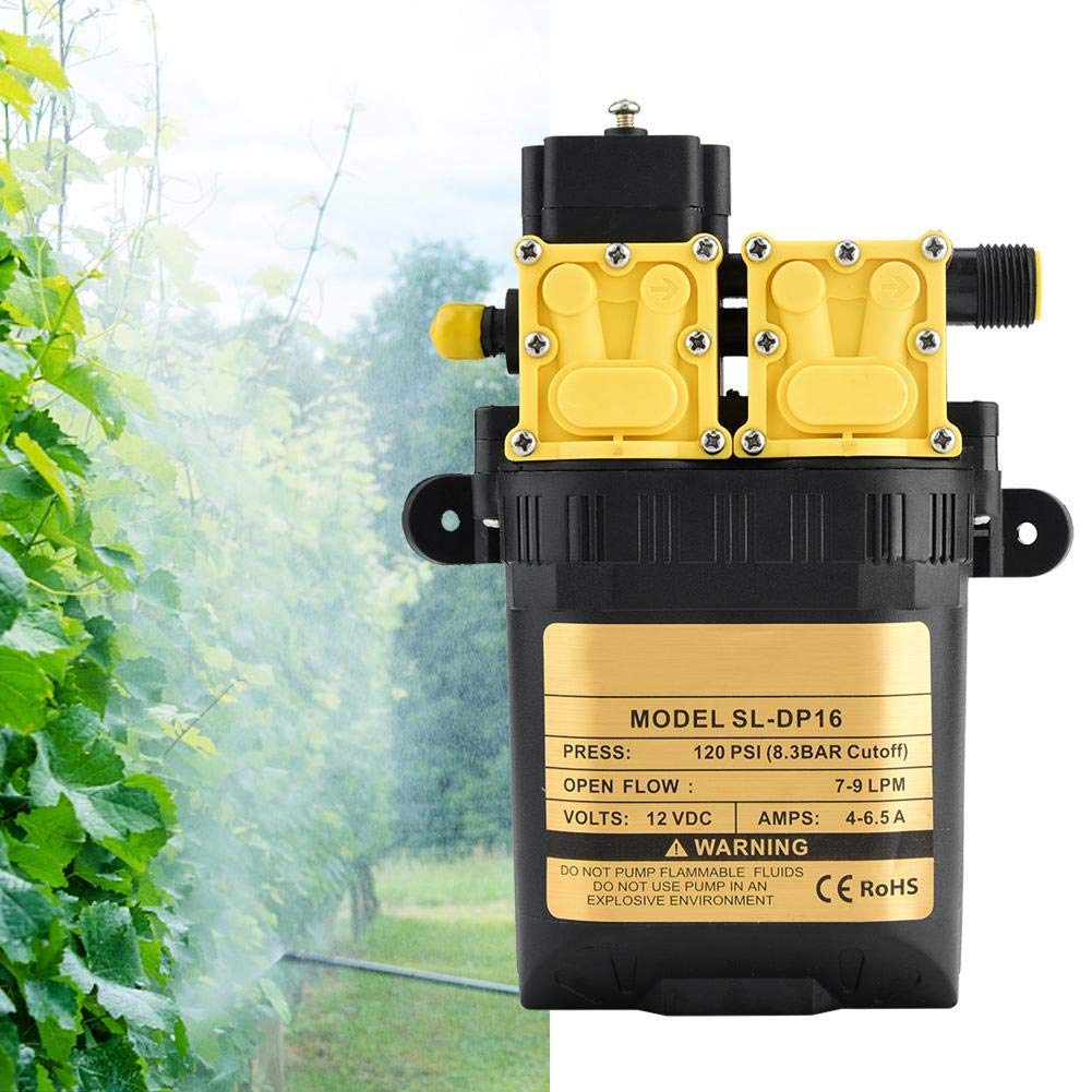 12V CC Pompa Elettrica, Pompa Irroratrice Agricola, Pompa Acqua ad Alta Pressione Multifunzionale, Pompe Autoadescanti per Barca da Diporto Agricoltura