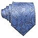 Barry.Wang Paisley Tie Fashion Set Hanky Cufflinks Neckties for Men Woven Silk