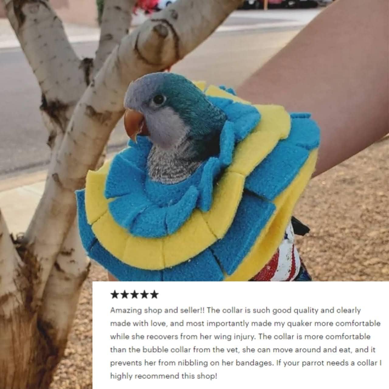 Soft Bird Collar for Sun Conure and Quaker Parrot