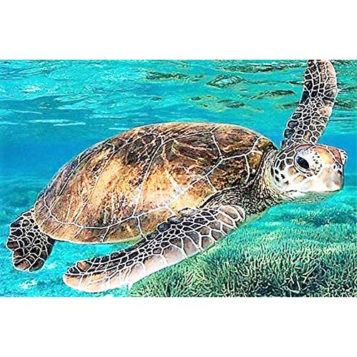 TianMaiGeLun Taladro Completo Kits de Pintura Diamante 5d Kit de artesanía Punto de Cruz Nuevos Kits de Bricolaje niños Adultos Pintar por número Kits (Turtle, 30x45cm, Square Drill) Cover