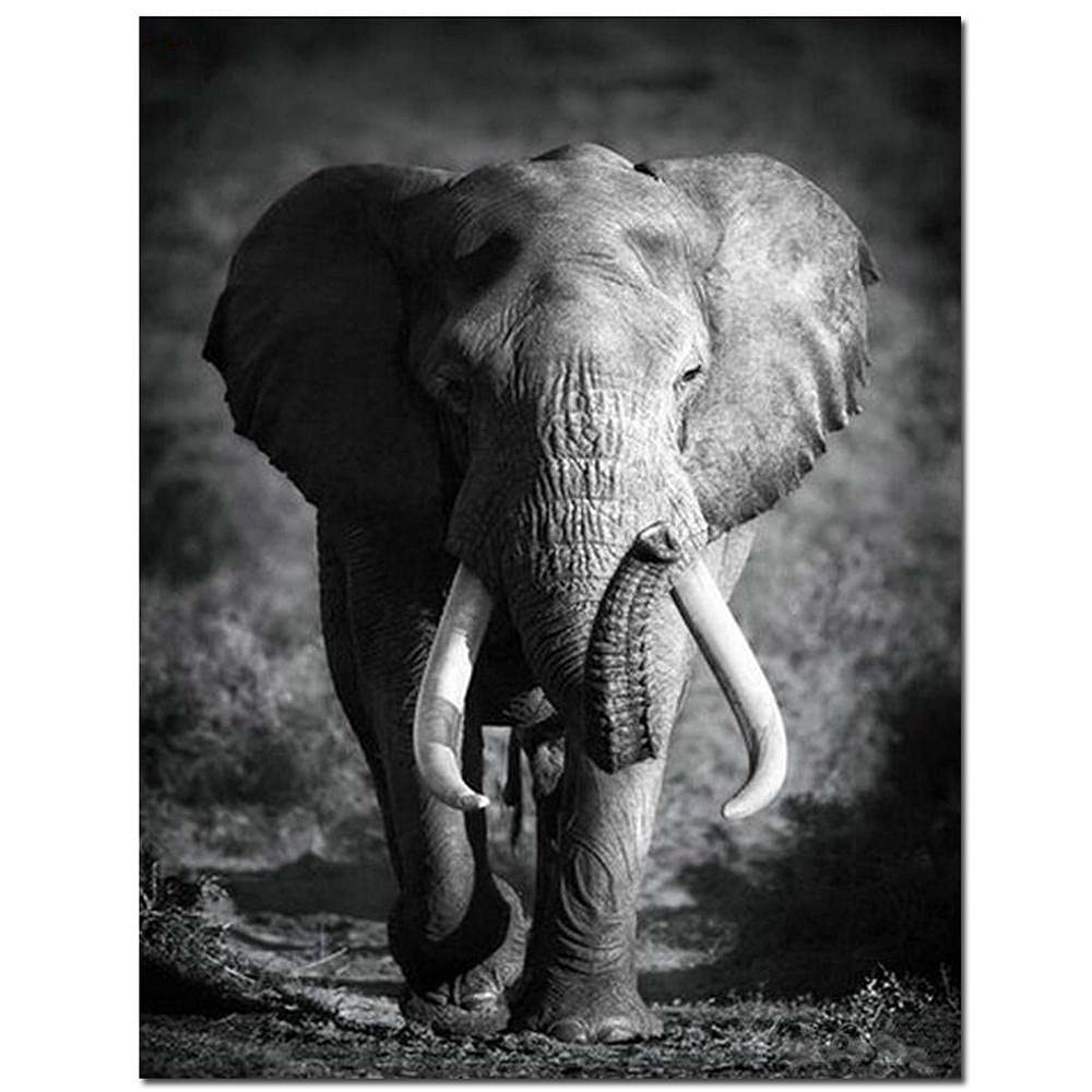 Licnay Diamond Painting Éléphant Noir Et Blanc Bricolage 5D