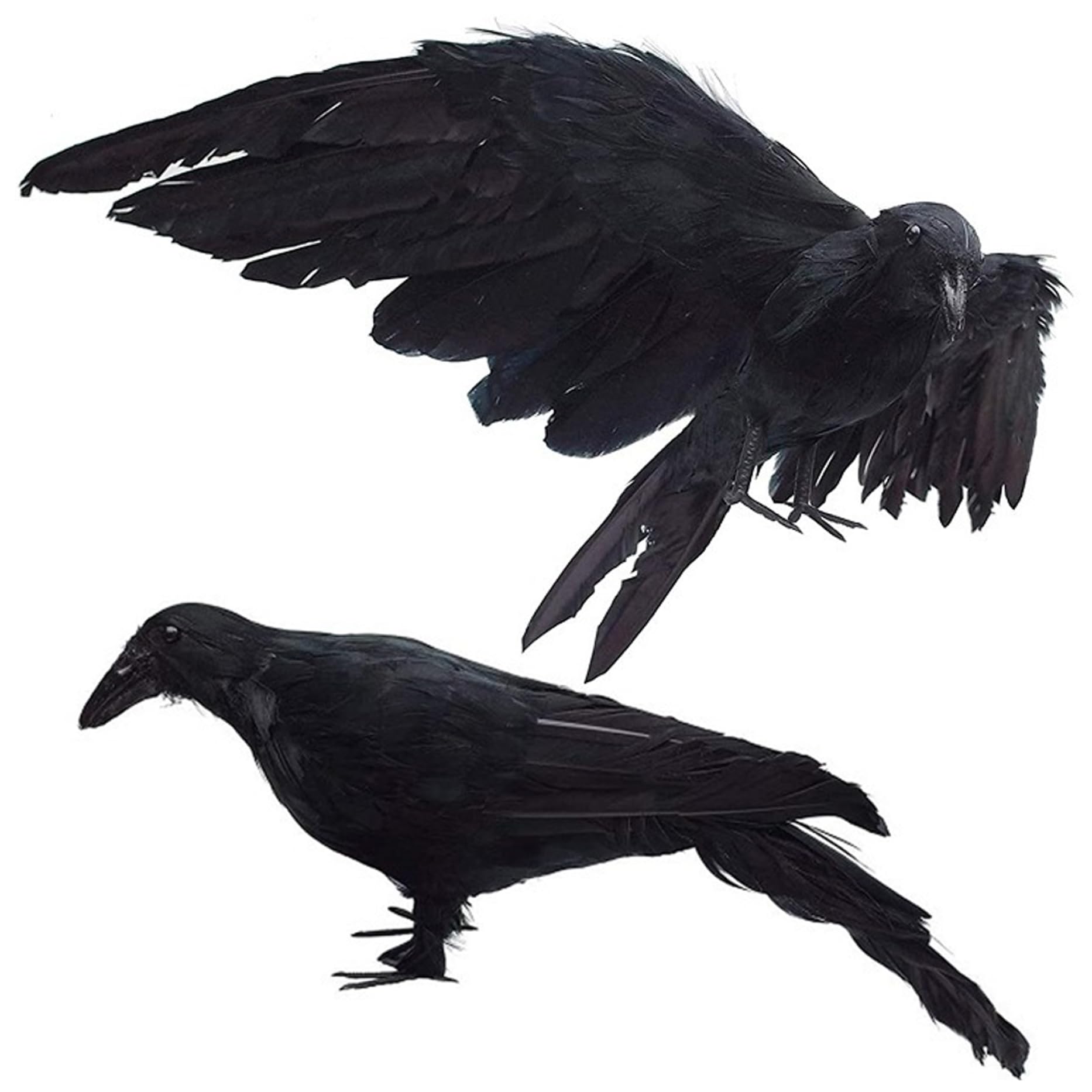 Jorzer 2Pcs Crow, 13x5.5 Realistic Raven Decor With Removable Wing, Artificial Dead Crow Decoy For Scaring Crows For Halloween Decorations Raven Decor