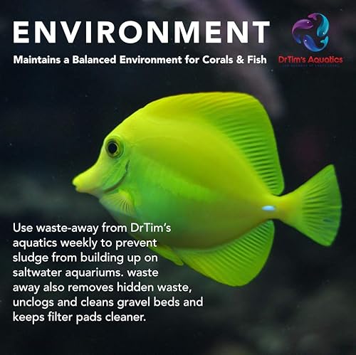 Miniatura 4 de Dr.Tim's Aquatics Waste-Away Limpiador natural para acuarios  8 onzas  Fórmula para eliminar lodos para tanques de agua salada y agua dulce  Mejora
