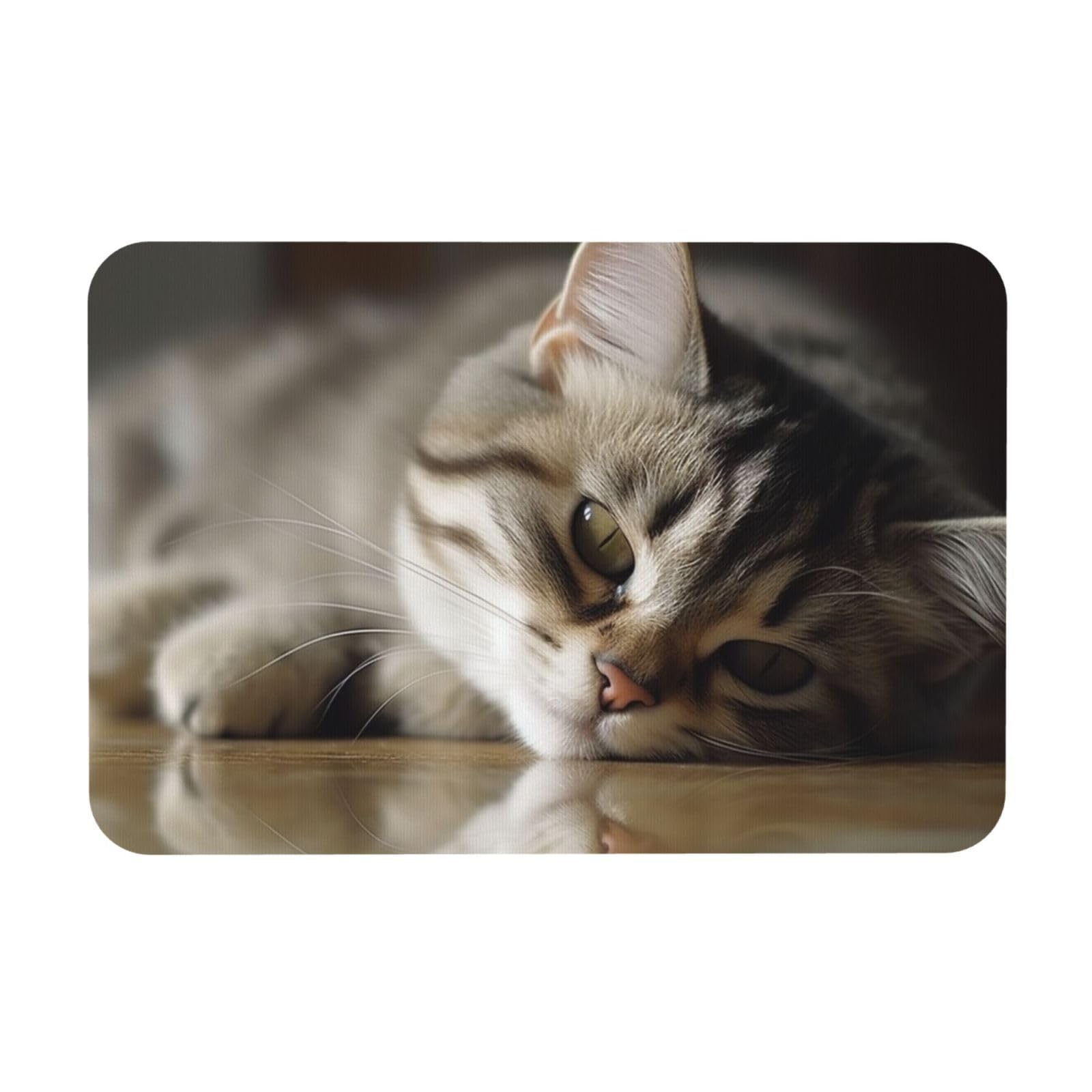 Tapis de bain en pierre de diatomée avec motif chat endormi 60x40 cm