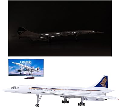 Singapore Airlines Concorde 1125 Scale Alloy Aircraft Model with Lights,Detachable Wheels Realistic Design Collectible Display, Home Decor, Aviation Gift for Enthusiasts Model CollectorWith light