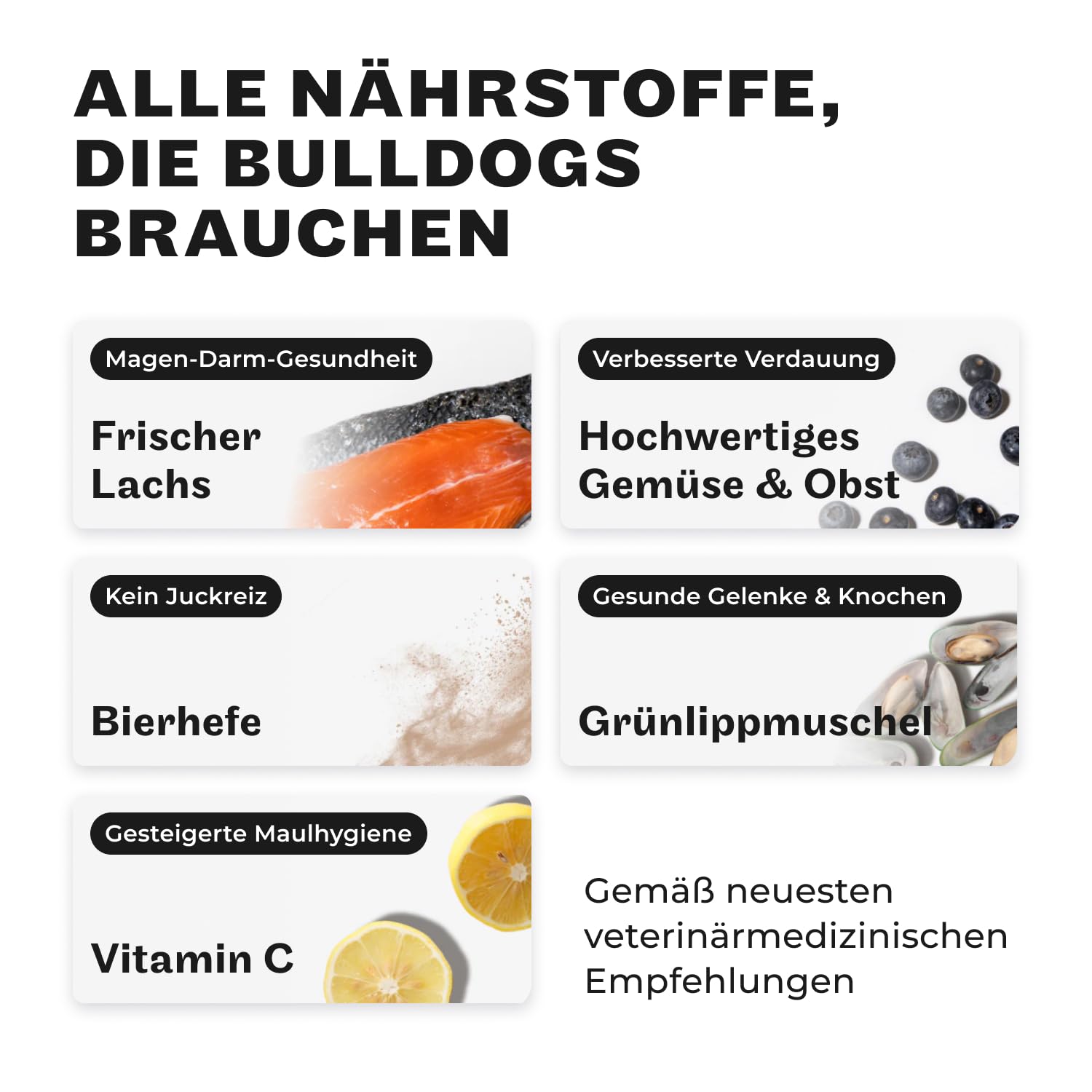 HEY HOLY Set 7 kg Premium Trockenfutter, 6 x 375 g Nassfutter & 1 x 200 g Snacks für Bulldoggen | 100% hypoallergen & getreidefrei | Hundefutter & Leckerlis für ausgewachsene Bulldoggen mit Lachs