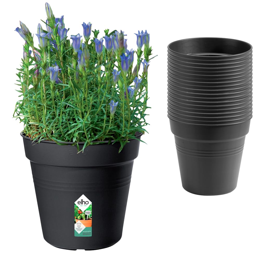Elho Living Black Green Basics Grow Pots Set - 100% Recycled Plastic - Set Of 20 - Ø 17 X H 15.8 Cm - Black
