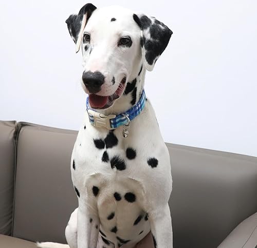 Miniatura 4 de DOGWONG Collar de Algodón para Perro, Collar de Perro de Cuadros Azules Resistente, Collar Suave y Duradero para Perro Macho, Lindo Collar de Boda y