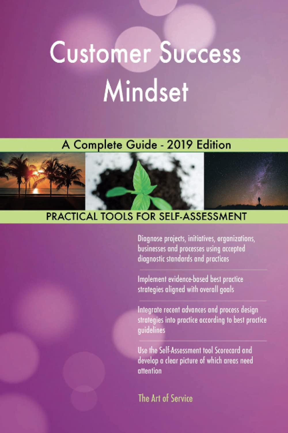 Customer Success Mindset A Complete Guide - 2019 Edition