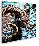 deyoli Ziegenbock mit rießigem Geweih Format: 70x70 Effekt: Zeichnung als Leinwandbild, Motiv fertig gerahmt auf Echtholzrahmen, Hochwertiger Digitaldruck mit Rahmen, Kein Poster oder Plakat