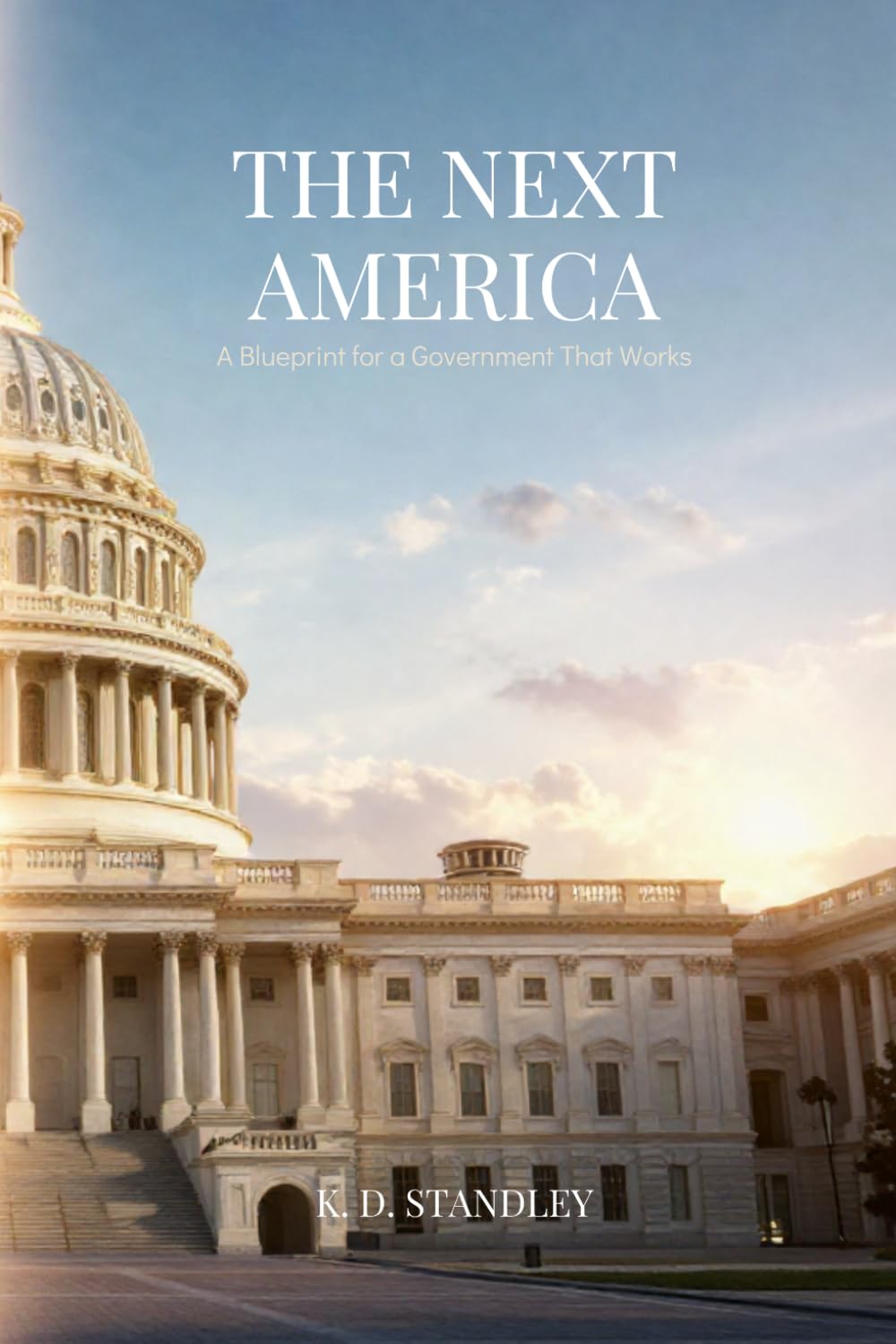 THE NEXT AMERICA: A BLUEPRINT FOR A GOVERNMENT THAT WORKS