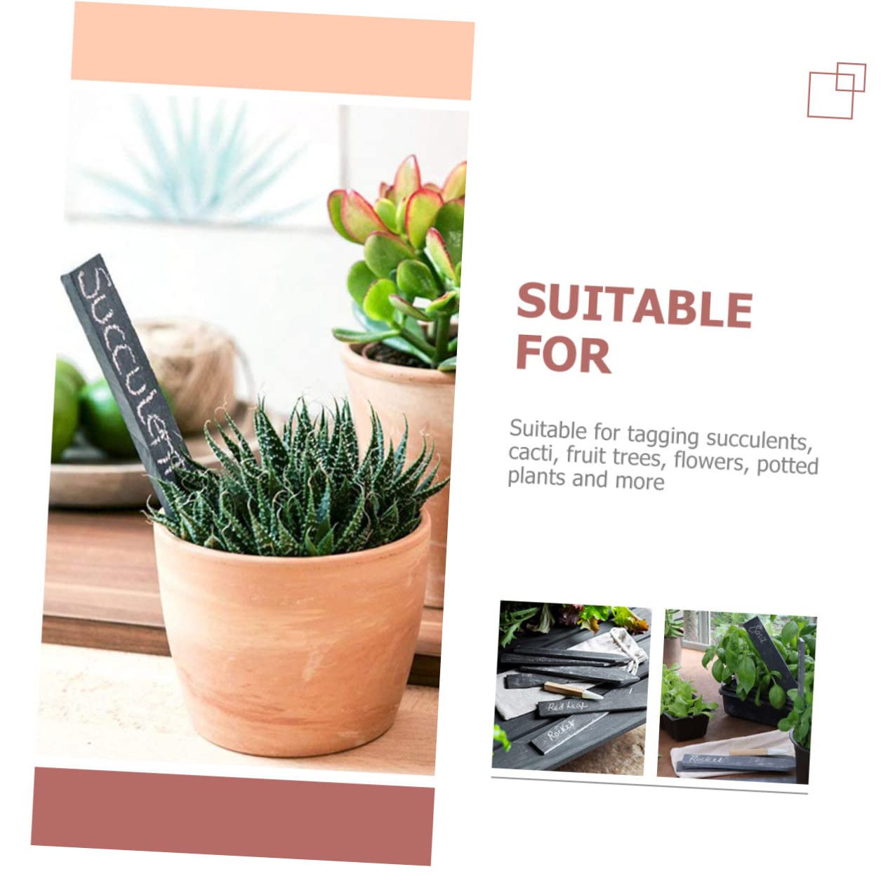 Yardwe 2 Ensembles Étiquettes De Plantes Marqueurs De Jardin Pour Plantes Étiquettes De es Étiquettes De Jardin Pour es Étiquettes De Jardinière En Treillis Signes 6 pièces * 2