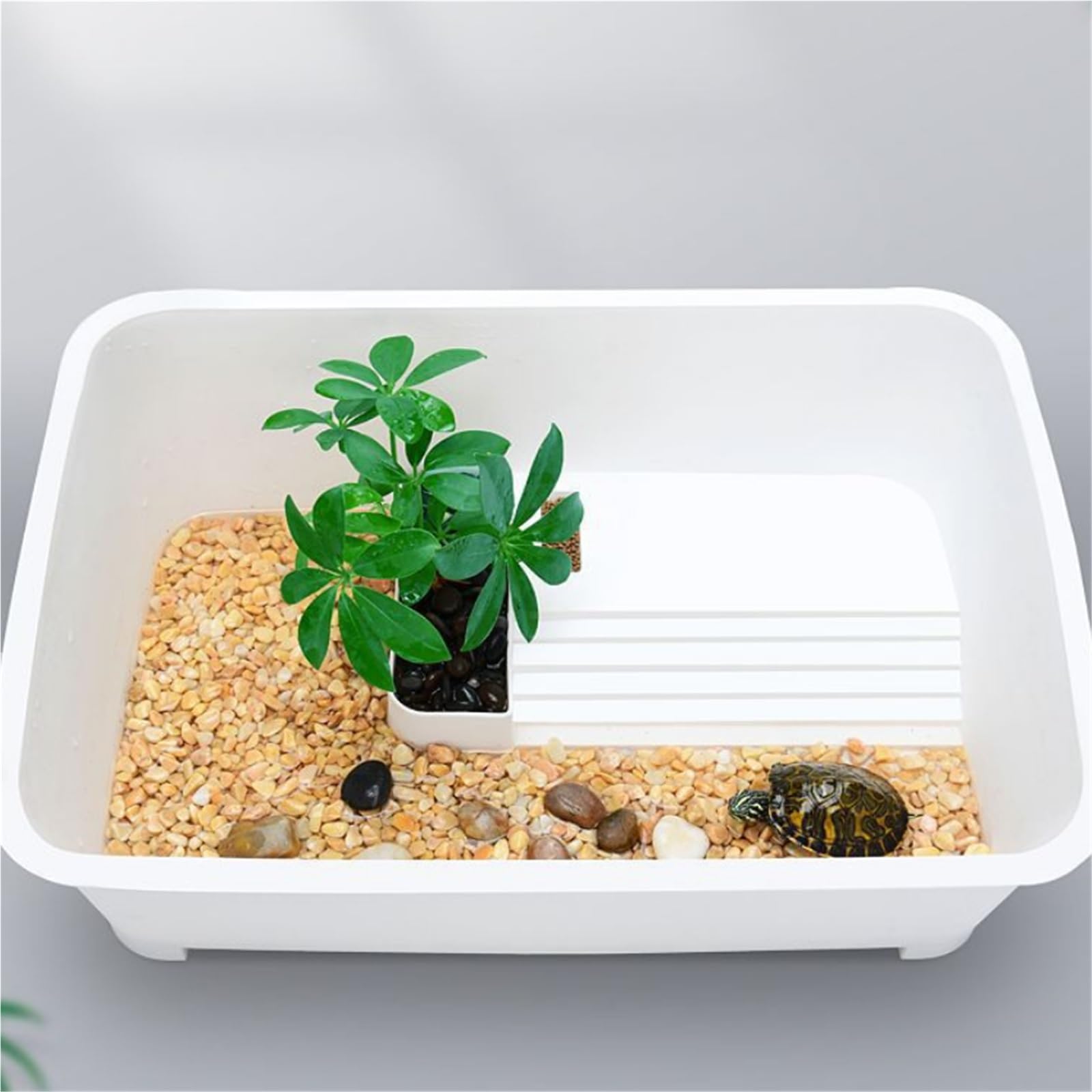 Siedlisko terrarium Mały domowy zbiornik do karmienia żółwi z platformą suszenia na słońcu Terrarium akwariowe(Duży)