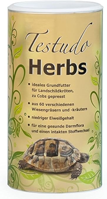 herbs for tortoises