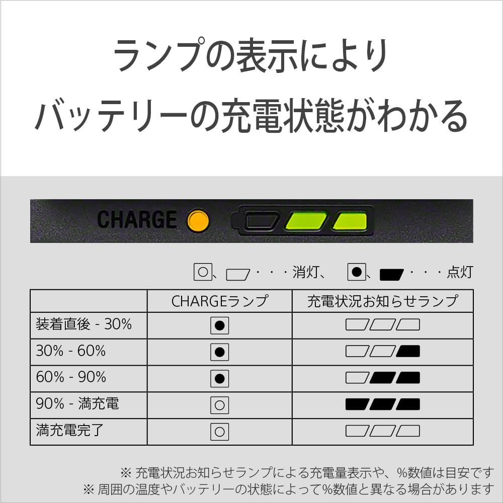 SONY HDR-PJ790V 動作確認済　バッテリー2個　取説有 SONY HDR-PJ790V 動作確認済 バッテリー2個 取説有 ビデオカメラ