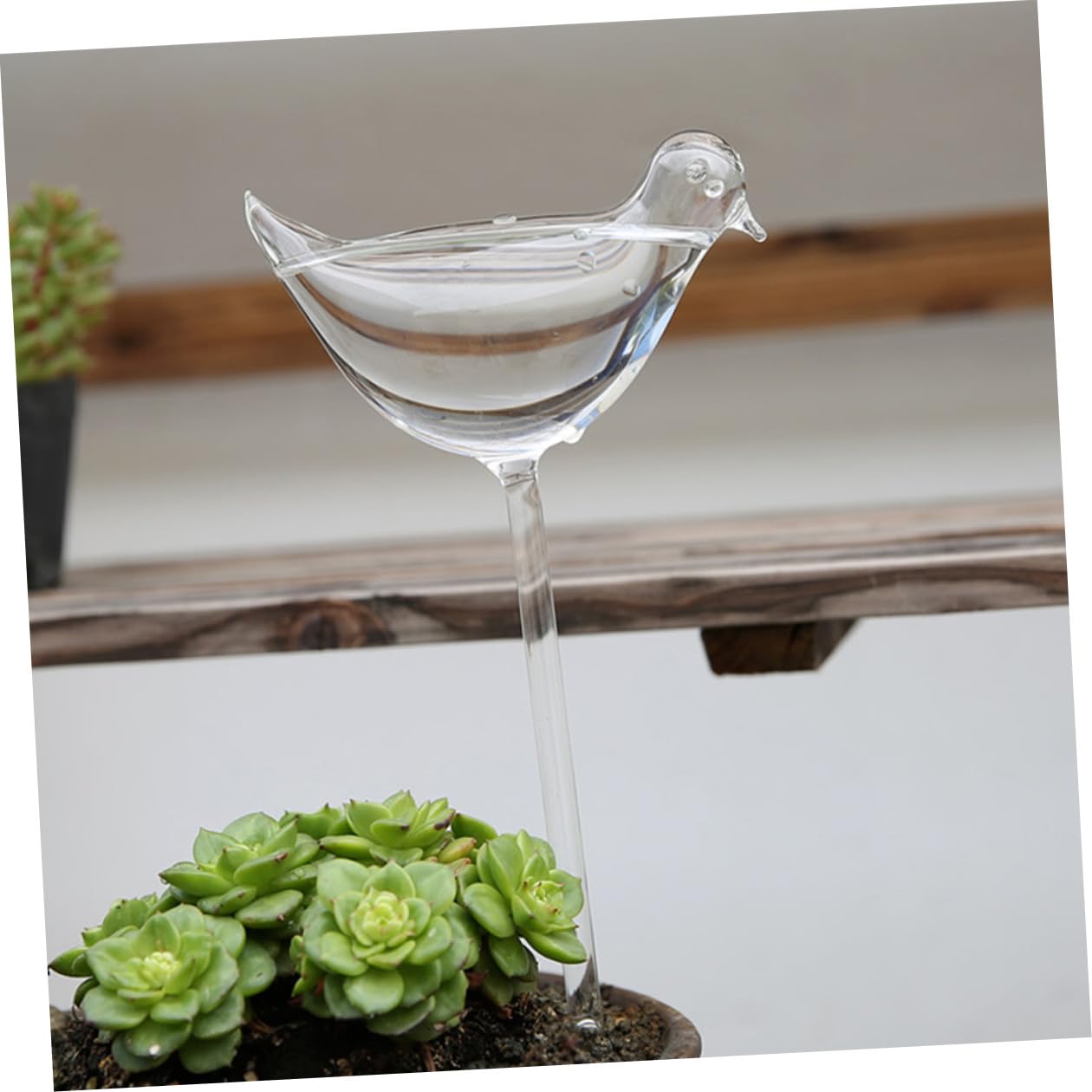 VICASKY Globes D'arrosage Automatiques en Verre Borosilicaté pour Plantes, Lot de 4, Facile à Utiliser et Auto-Irrigation, pour Voyages et Festivals
