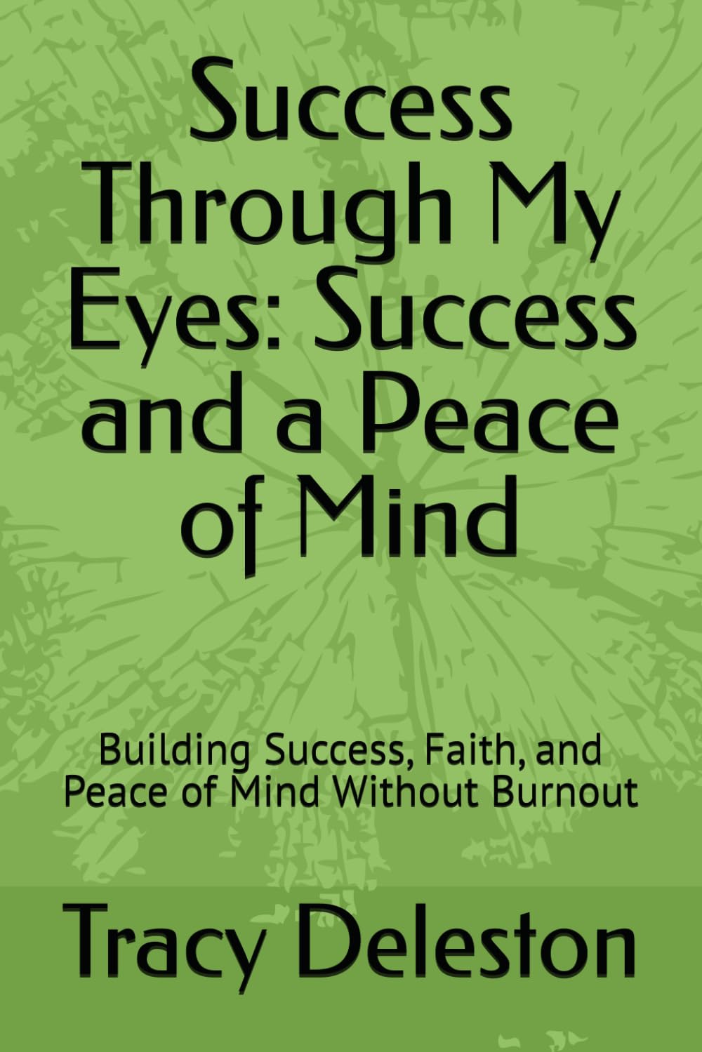 Success Through My Eyes: Success and a Peace of Mind: Building Success, Faith, and Peace of Mind Without Burnout